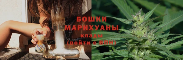 крисы Верхний Тагил