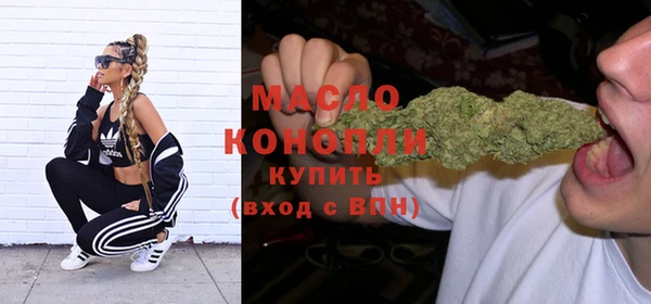 мдпв Бородино