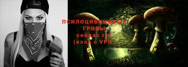 Альфа ПВП Беломорск