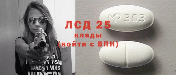 мдпв Бородино