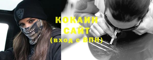 мдпв Бородино