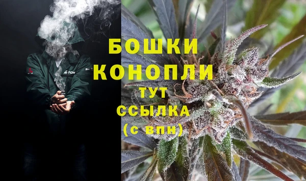 мдпв Бородино