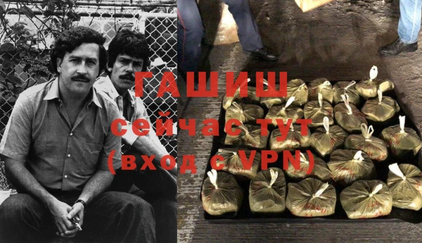 мдпв Бородино