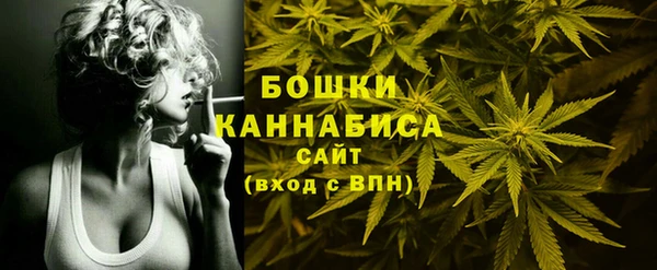 мдпв Бородино