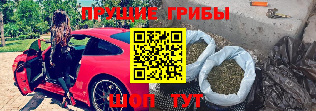 Галлюциногенные грибы ЛСД  купить наркоту  Свободный  Вход с VPN  Галлюциногенные грибы Magic Shrooms 